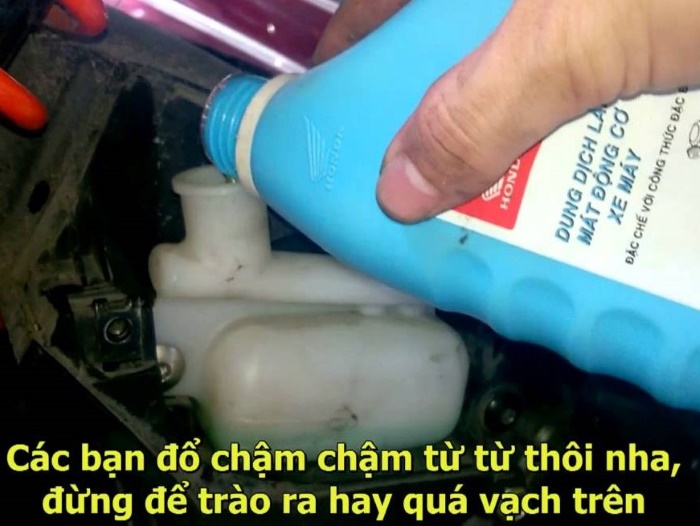 thay nước làm mát xe air blade